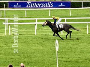 chasedown coppa d'oro18