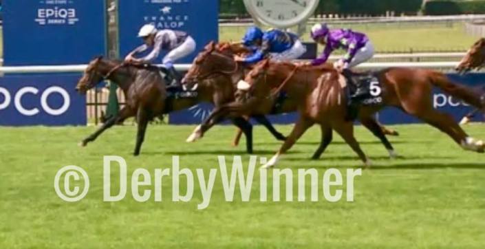 study of man jockey club 2018