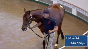 oasis dream ex holy moon