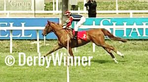 being alive botticelli 2019