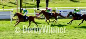 o'juke regtoscana 2019