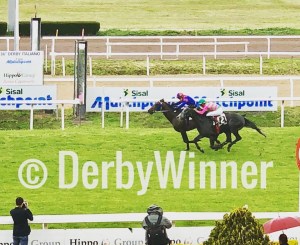 assiro d'alessio 2019