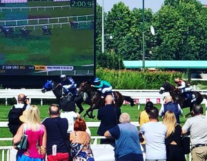 akoya uae pres cup19