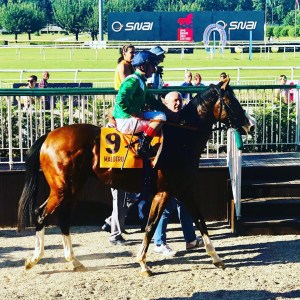 malotru primi passi 2019