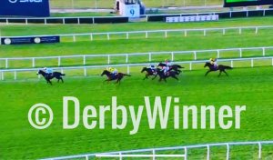 style presa royal mares 19