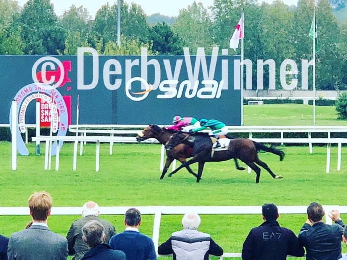 anda muchacho piazzale19