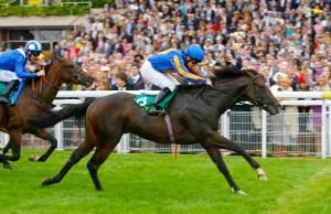 Requinto - Molecomb Stakes