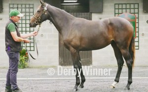 galileo-greenroom orby19