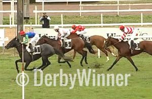 aurelius in love berardelli19