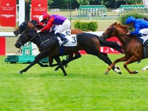 circus maximus moulin longc19