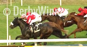 lorelei rock divino amore19