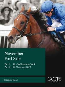 Nov Foal catalogue cover