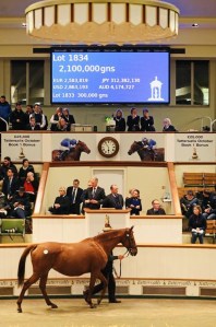 coplow tatts dec mare19