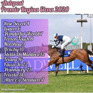 REGINA ELENA CONTEST