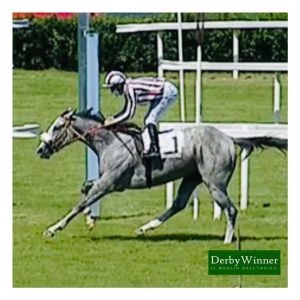 auyantepui incisa 2020