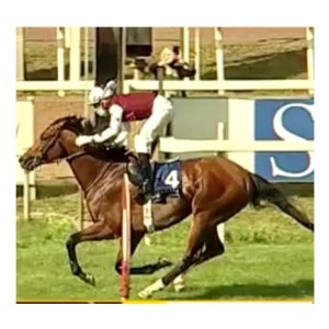 cima emergency parioli 2020