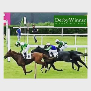 masterwin filiberto 2020