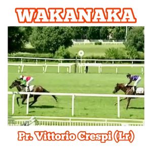 wakanaka crespi2020