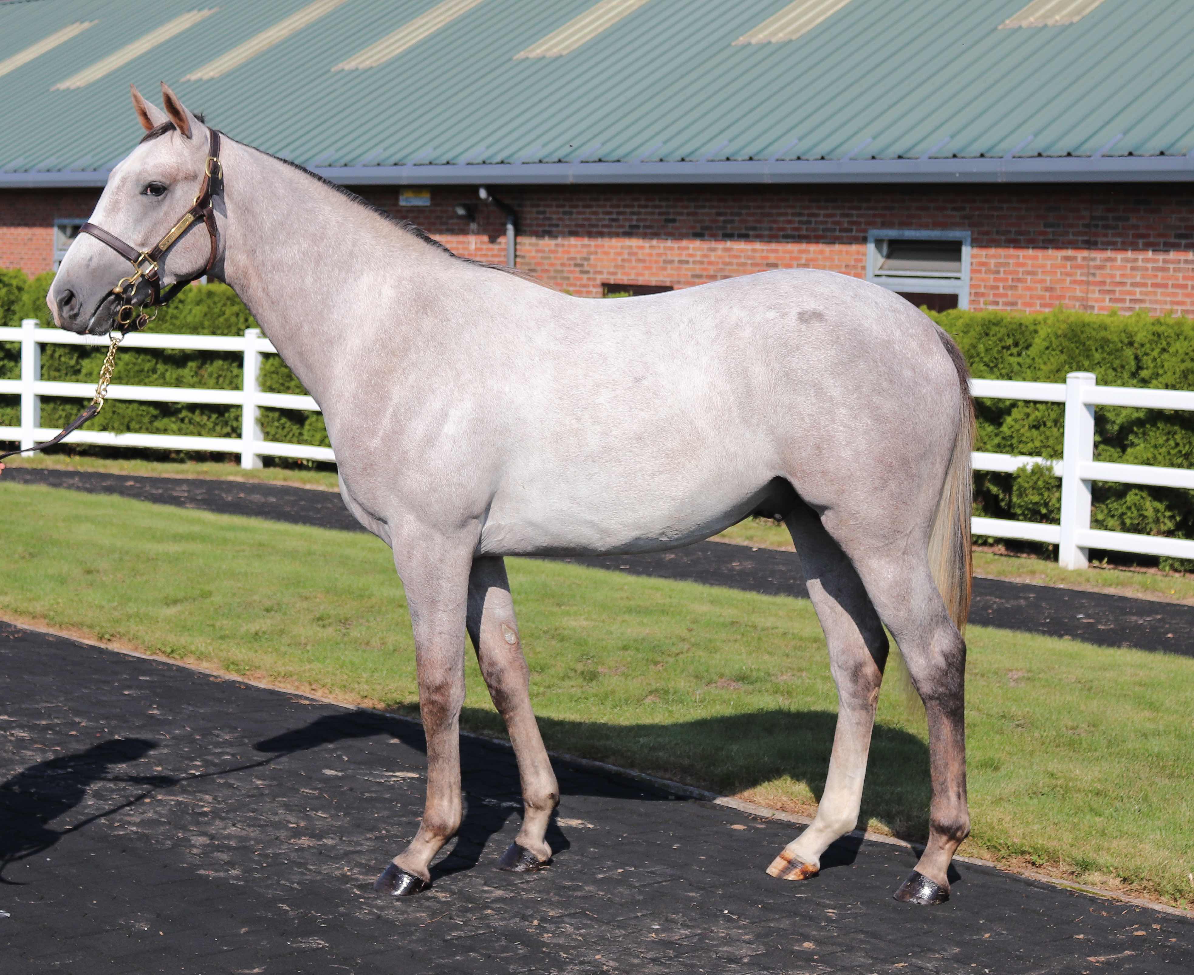 Loch Ma Naire (Lope de Vega)