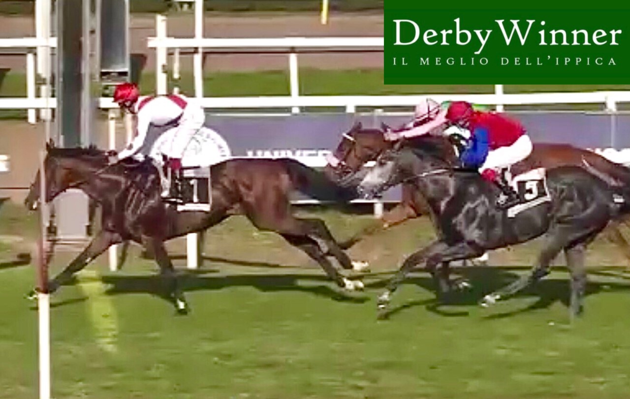 bell'imbusto isfahan my westood bera20