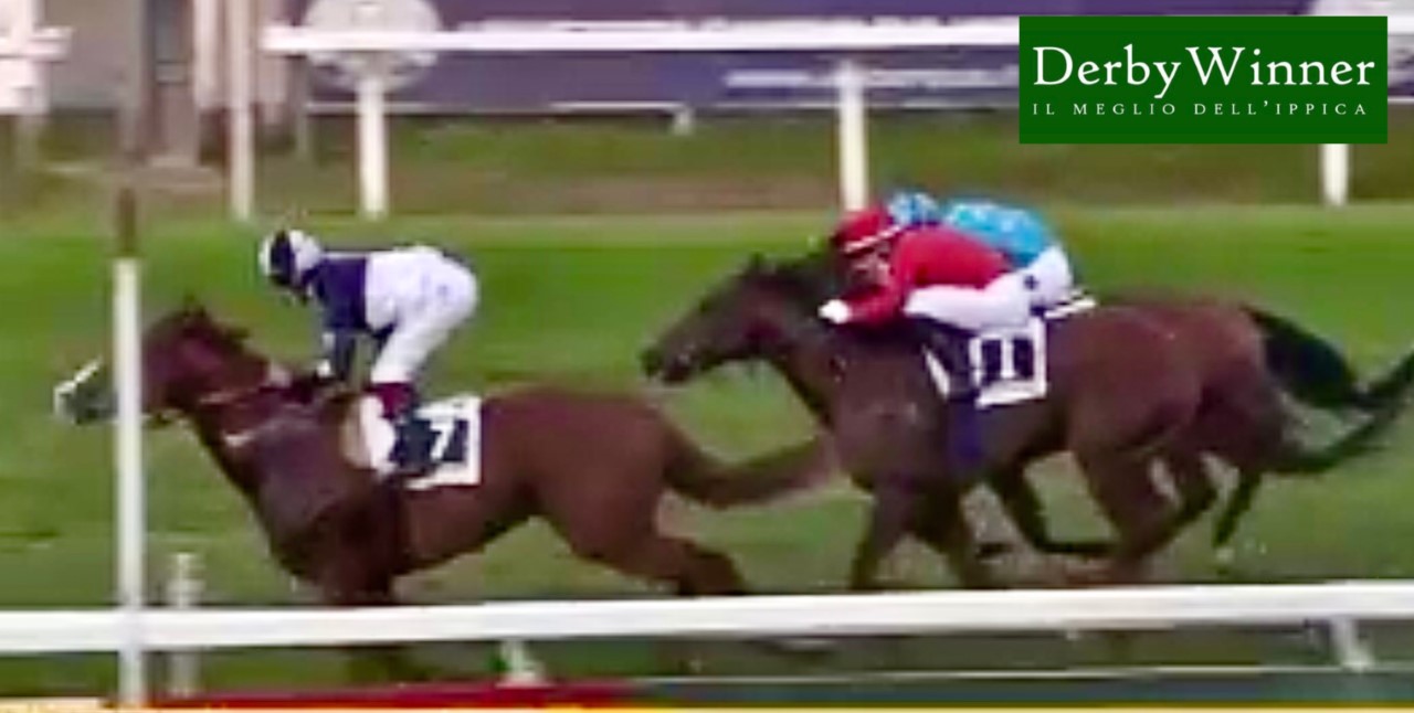 the conqueror aloisi20