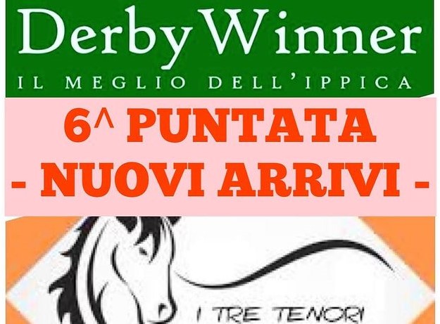 vdt 6 puntata - nuovi arrivi