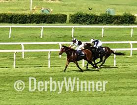 musa d'oriente royal mares18.2