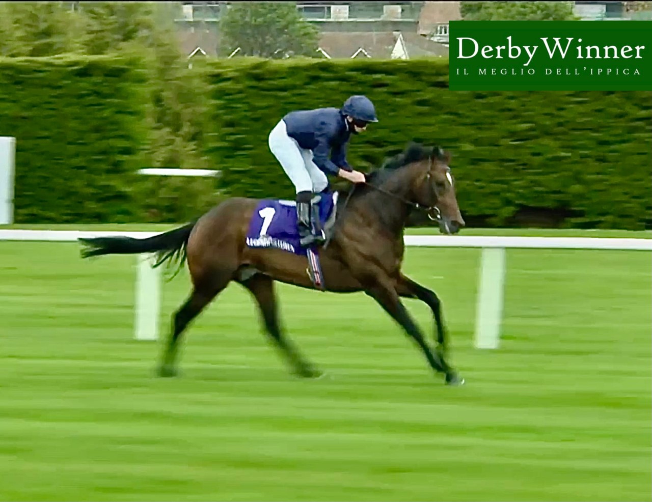 bolshoi ballet derby trial leopardstown21