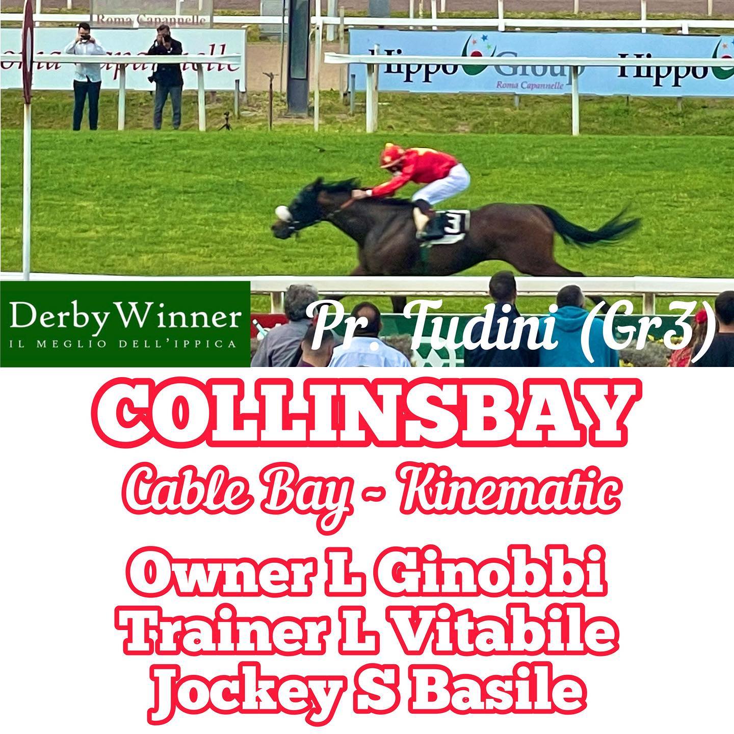 collinsbay tudini 2021