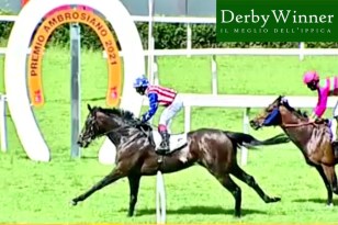 flag's up filiberto 2021