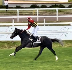 tokyo gold derby 2021