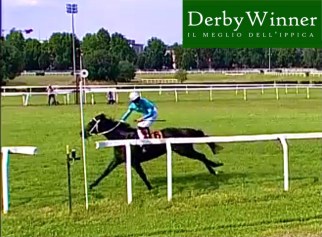 windstormblack primi passi 2021