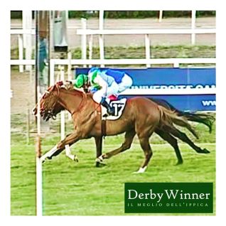 tuscan gaze derby 2020.1