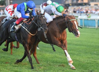 tuscan gaze sire